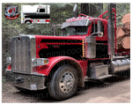 AnK Seminole Peterbilt Stripe Kit