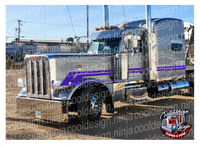 Plum Explosion Double Dive Peterbilt Stripe Kit