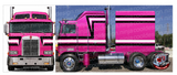 Double Eagle Kenworth Cabover Stripe Kit
