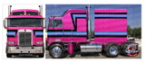 Double Eagle Kenworth Cabover Stripe Kit