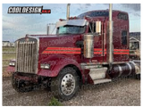 Straight Scallop Peterbilt Stripe Kit