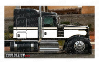 White and Gold Seminole Kenworth Stripe Kit