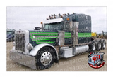 Grey and Lime Green Double Cees Peterbilt Stripe Kit