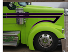 Black and Purple Reverse Fenderhook KW Stripe Kits