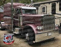 379/389 Chrome and Bar Peterbilt Stripe Kit