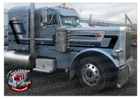 379/389 Flock o Scorpion Peterbilt Stripe Kit