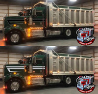 Daycab Kenworth W9 DW ALT Stripe