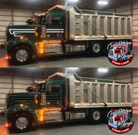 Daycab Kenworth W9 DW Stripe