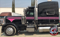 Hot Pink Classic Spear Peterbilt Stripe Kit