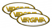 White and Gold Virginia Peterbilt Emblem Skins