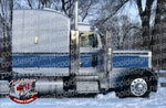 379/389 Viking Seminole Peterbilt Stripe Kit